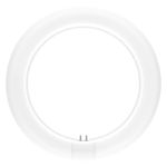 Ledvance LED Rör T9 Value Cirkulär (EM/Mains) 11W 1320lm - 840 Kallvit | Ersättare 22W