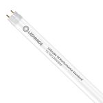 Ledvance LED Rör T8 Performance (EM/Mains) High Output 13.1W 2100lm - 840 Kallvit | 120cm - Rörelsesensor - Ersättare 36W