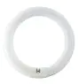 Osram T9 Lumilux Circline 32W - 840 Kallvit | 30cm