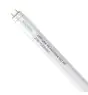 Noxion LED Rör T8 Avant Extreme (HF) High Output 20W 3100lm - 865 Dagsljus | 150cm - Ersättare 58W