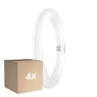 Flerpack 4x Osram LED Rör T9 Cirkulär (EM/Mains) 11W 1320lm - 840 Kallvit | Ersättare 22W