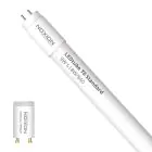 Noxion LED Rör T8 Avant (EM/Mains) Standard Output 7.5W 900lm - 840 Kallvit | 60cm - Ersättare 18W