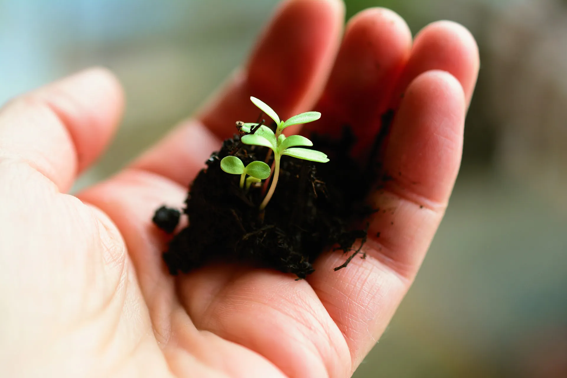 ampoule LED intelligente de Calex  